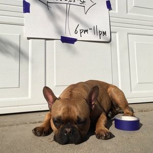 Meet your Posher, James